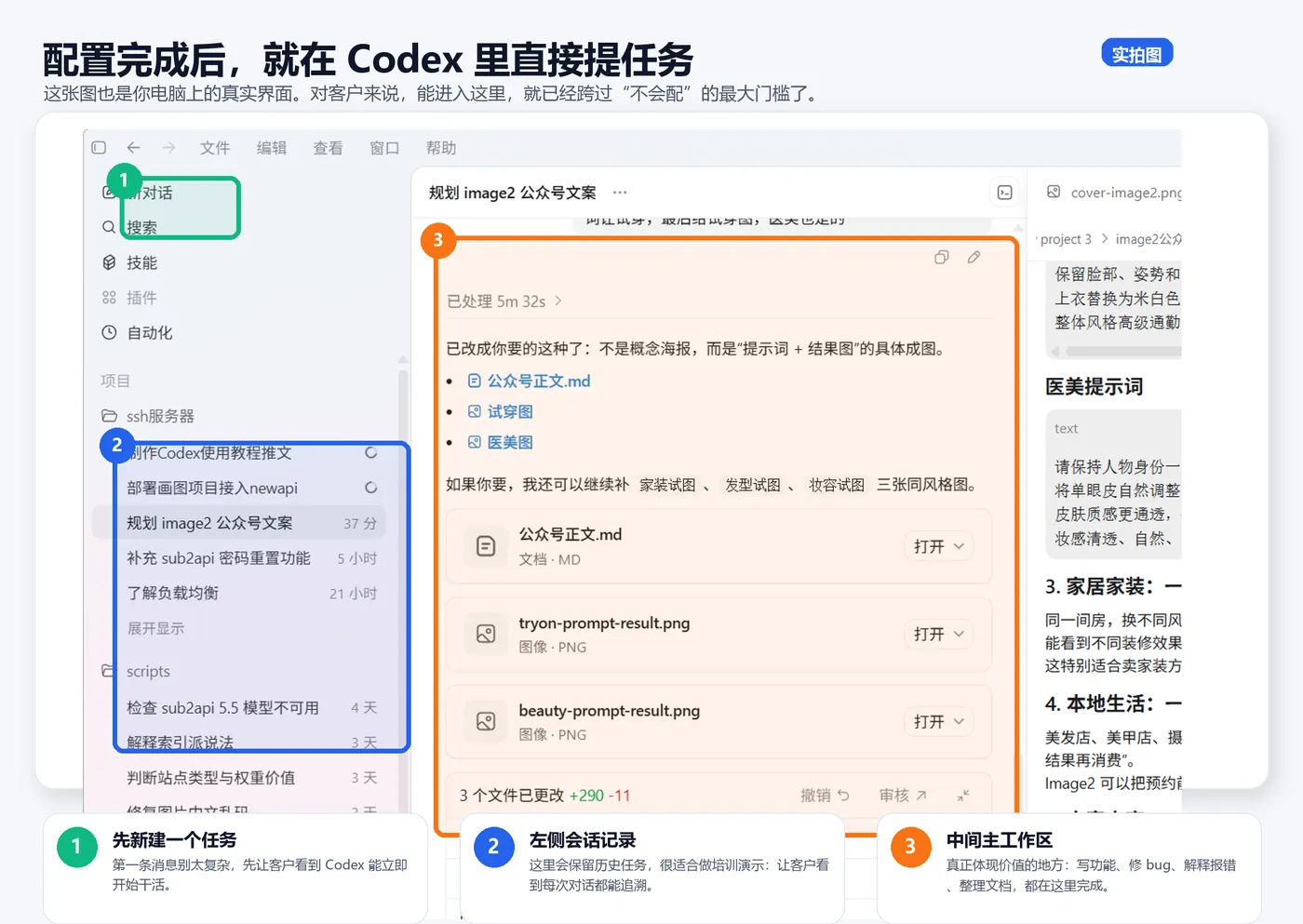 Codex 实拍图